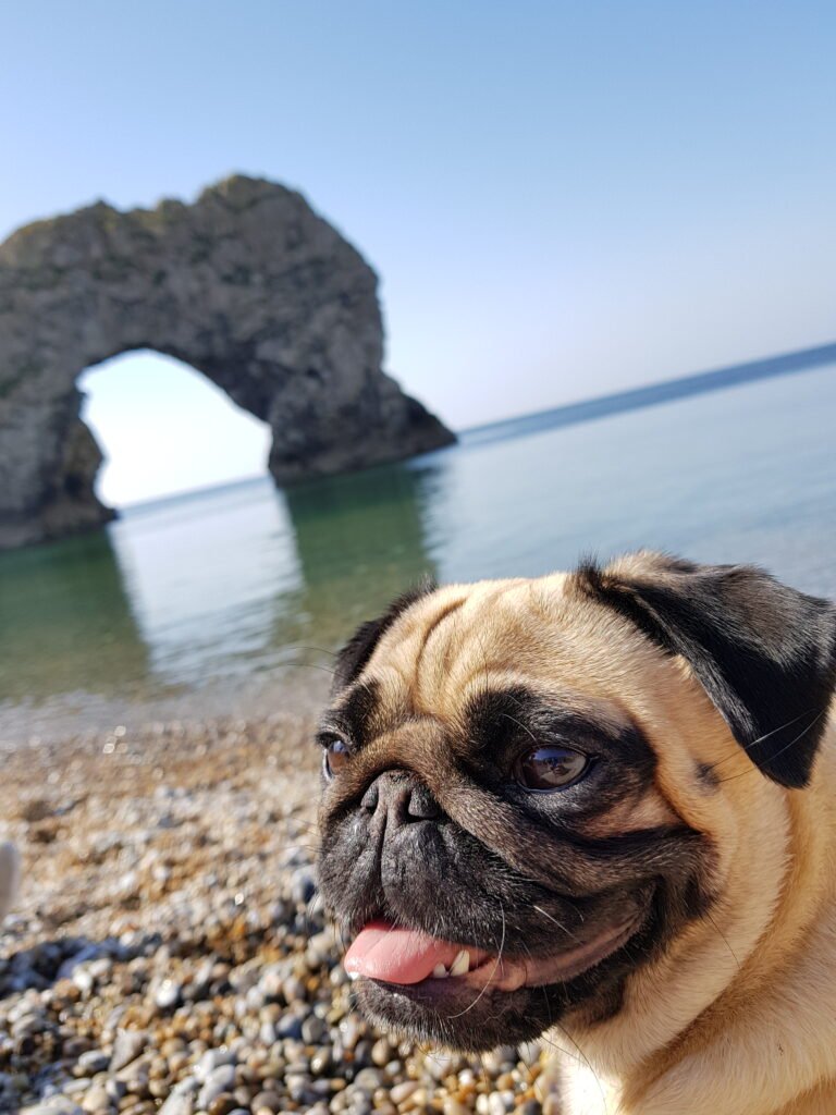 Durdle Door